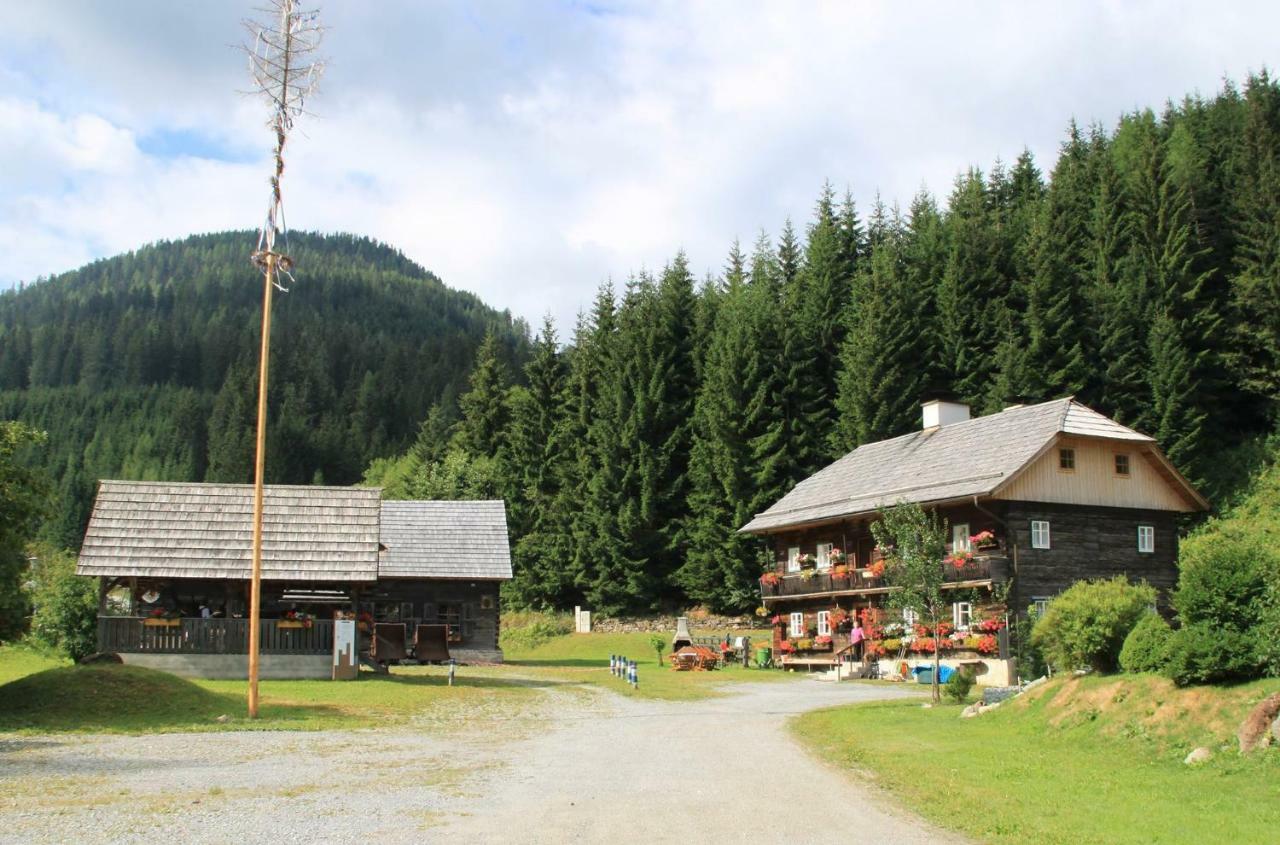 Appartement Schlosserhaus Turrach Turracher Hohe Zewnętrze zdjęcie